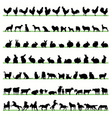 farm animals vector image