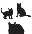 cat silhouettes vector image