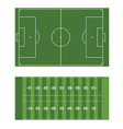 soccer and american football field vector image