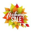 autumn sale lettering design fall leaf label vector image vector image