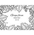grape frame vineyard vintage background vector image