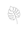 line monstera leaf art one continuous vector image