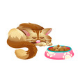 cat with a bowl food vector image