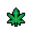 marijuana leaf or cannabis leaf weed pixel art vector image