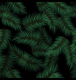 palm leaves seamless pattern background vector image