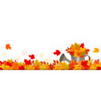 autumn nature panorama with colorful leaves vector image