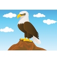 bald eagle vector image