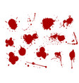 blood splat splash spot ink stain blot patch vector image