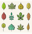 leaves colorful isolated icons vector image vector image