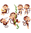little monkeys doing different things vector image