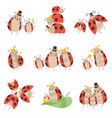cute happy ladybug family set cheerful mother vector image