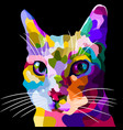 colorful cat face in pop art style vector image