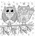 couple funny owls sitting on branch vector image