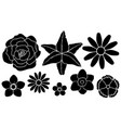 set silhouettes flowers vector image