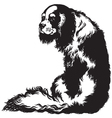charles spaniel black white vector image vector image