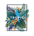 tropical background with frame 2 vector image