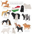 dogs country origin hungarian dog breeds vector image