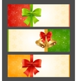 present card template vector image