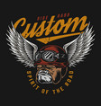 motorcycle colorful logo vector image vector image
