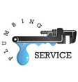 wrench plumbing repair service vector image