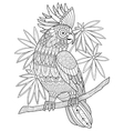 cockatoo parrot coloring book for adults vector image