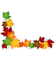 maple leaves colorful border vector image