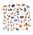 animal full length portraits collection on white vector image
