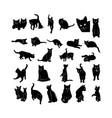 cat silhouette collection vector image