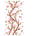 spring seamless pattern with branches of tree vector image