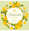 daffodils vector image vector image