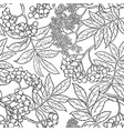 rowan seamless pattern vector image
