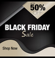 black friday banner vector image vector image
