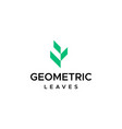 leaves logo vector image vector image