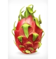 pitaya icon vector image vector image
