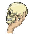 human skull in hand sketch engraving vector image