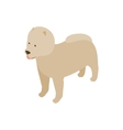 pomeranian dog icon isometric 3d style vector image vector image