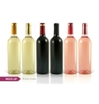 bottle of wine vector image