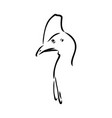 hand drawn black and white cassowary isolated vector image vector image