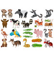 set isolated objects theme animals vector image