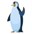 penguin bird with smooth feathers gesturing animal vector image vector image