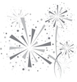 firework vector image vector image