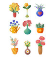 set of house plants and flowers in pots vases vector image