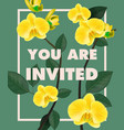 you are invited lettering with yellow orchids vector image