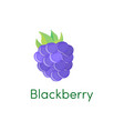 cartoon blackberry icon fruit isolated on white vector image