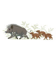 boar family vector image vector image