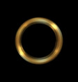 abstract luxury golden ring gold light circles vector image vector image
