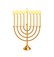 hanukkah with candles isolated vector image