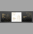 invitation template gold lines on a black vector image
