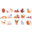 adorable cats cute dancing cat funny angry kitty vector image