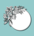 lily flowers hand drawing vintage card on blue vector image vector image
